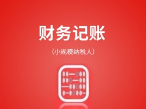 小规模纳税人（套餐）