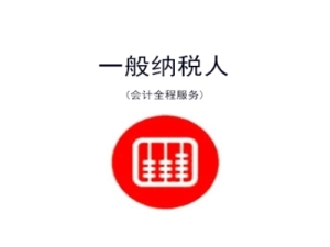 苏州工业园区一般纳税人代理记账